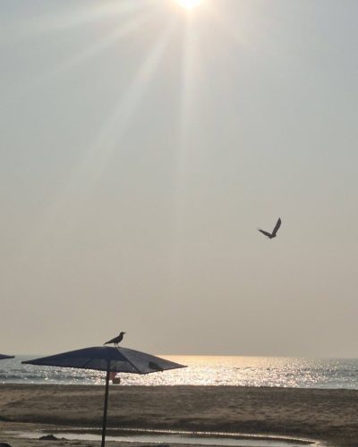 Mobor Beach в декабре — фото погоды (2025-12-23)