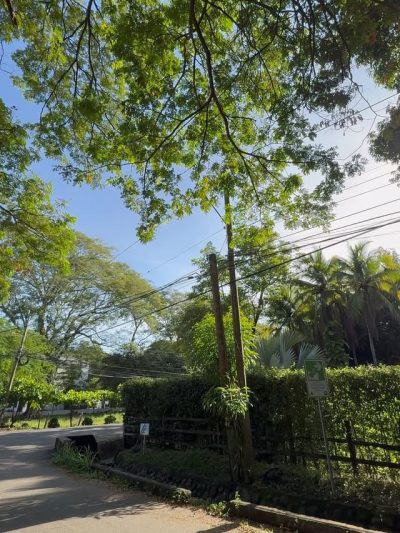 Guanacaste, Playa Hermosa, Costa Rica в ноябре — фото погоды (2025-11-07)