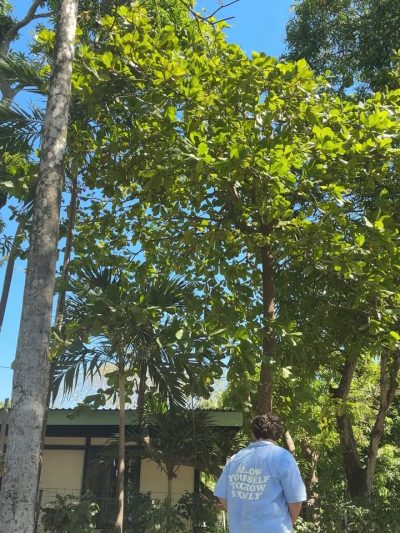 Guanacaste, Playa Hermosa, Costa Rica в феврале — фото погоды (2026-02-18)
