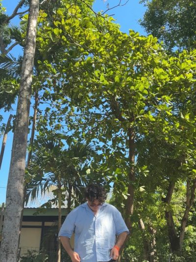 Guanacaste, Playa Hermosa, Costa Rica в феврале — фото погоды (2026-02-18)