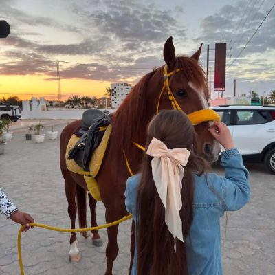 Djerba Marina в марте — фото погоды (2026-03-28)