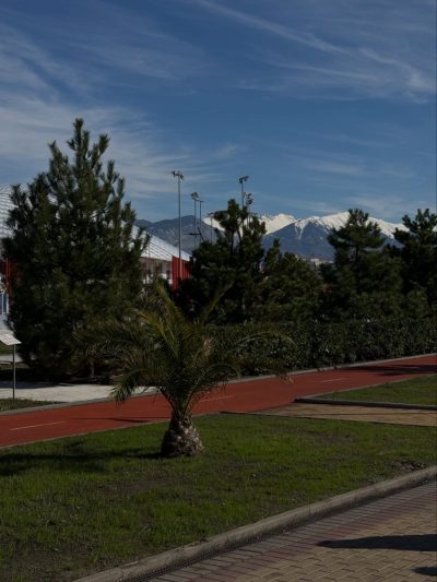 Адлер в феврале — фото погоды (2026-02-24)