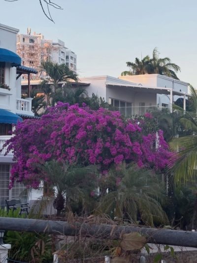 Hotel Playa Blanca  Beach Resort, Spa & Residences — фото погоды в марте (2026-03-17)
