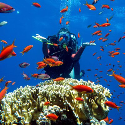 Royal Albatros Moderna, Sharm el-Sheikh в июне — фото погоды (2026-06-30)