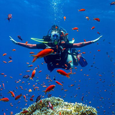 Royal Albatros Moderna, Sharm el-Sheikh в июне — фото погоды (2026-06-30)