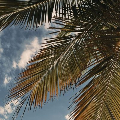 Langkawi island в феврале — фото погоды (2026-02-19)