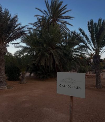 The Crocodile Farm в сентябре — фото погоды (2025-09-21)