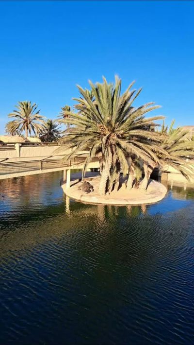 The Crocodile Farm в сентябре — фото погоды (2025-09-22)