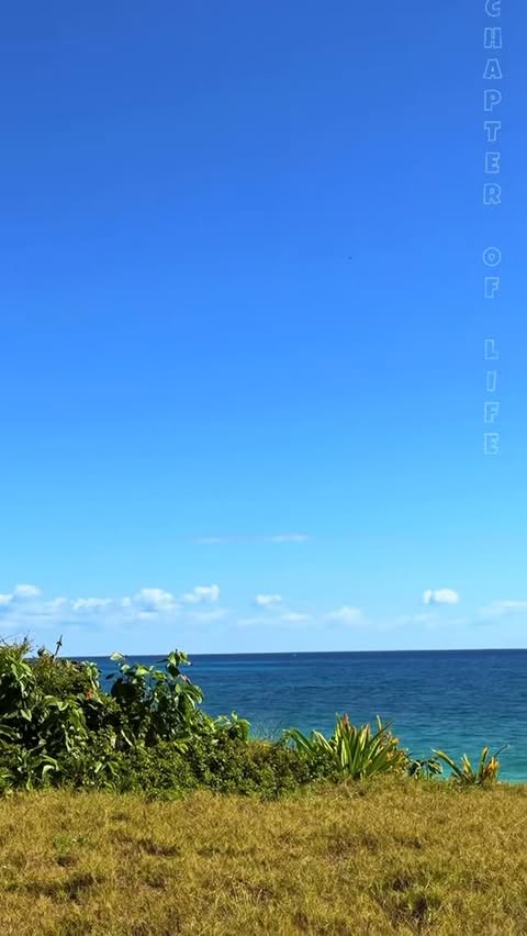 Погода в Ruins of Tulum