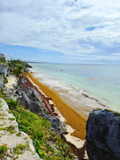 Ruins of Tulum в апреле — фото погоды (2026-04-26)