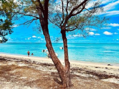 Ile Aux Cerfs Best Deal Mauritius в декабре — фото погоды (2022-12-31)