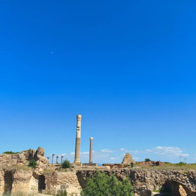 Погода в Тунис, Тунис