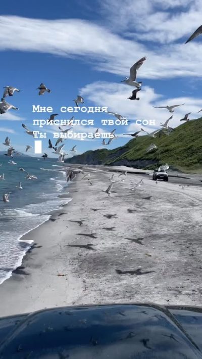 Остров Итуруп, Рейдово в сентябре — фото погоды (2025-09-09)