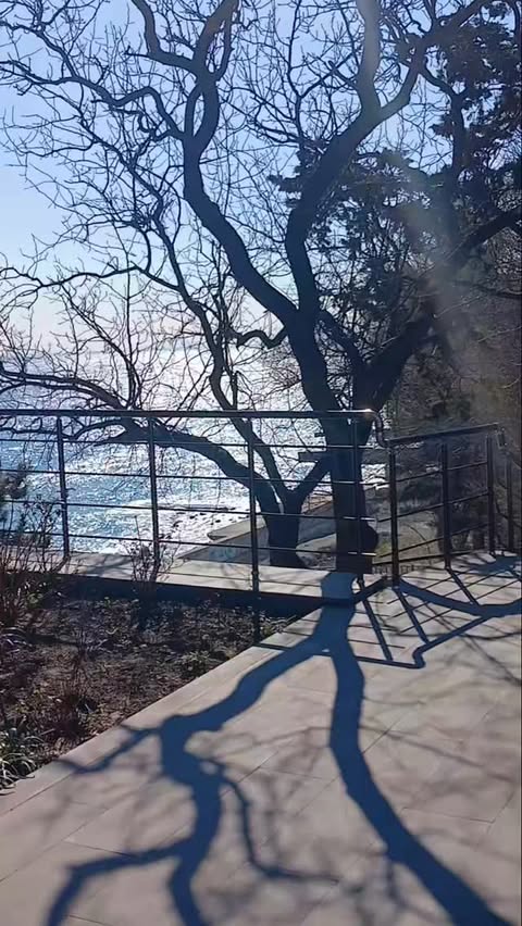 Погода в Ялта