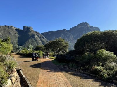Kirstenbosch Botanical Gardens, South Africa в июле — фото погоды (2024-07-25)