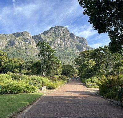 Kirstenbosch Botanical Gardens, South Africa в феврале — фото погоды (2025-02-19)