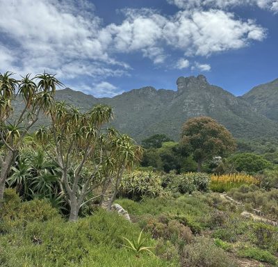 Kirstenbosch Botanical Gardens, South Africa в ноябре — фото погоды (2025-11-08)