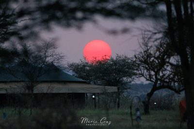 serengeti tanzania bush camps в июле — фото погоды (2025-07-02)