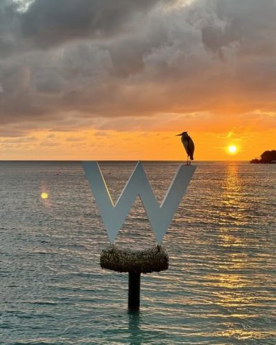 Sip @ W Retreat & Spa Maldives — фото погоды в августе (2025-08-24)