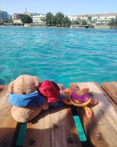 Orange Beach Hurghada в декабре — фото погоды (2025-12-08)