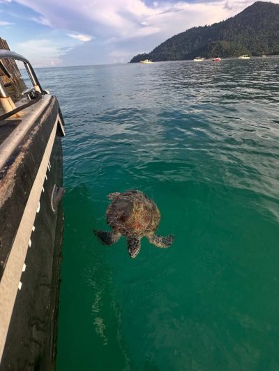 Juara Tioman Island в октябре — фото погоды (2025-10-03)