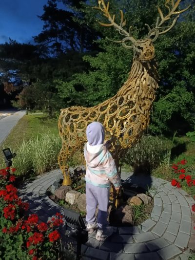Куршская Коса в июле — фото погоды (2026-07-09)