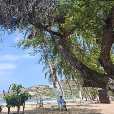 Playas Del Rodadero Santa Marta в апреле — фото погоды (2026-04-08)
