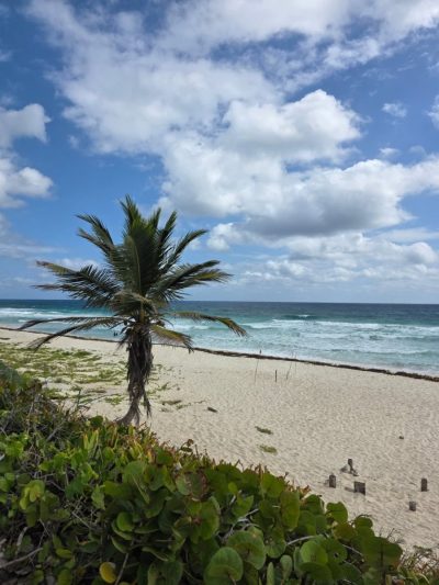 Playa San Martin Cozumel Mexico в январе — фото погоды (2026-01-17)