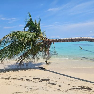 Isla Zapatilla En Bocas Del Toro в июне — фото погоды (2025-06-15)