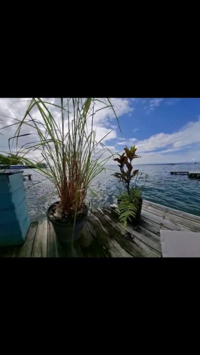Isla Zapatilla En Bocas Del Toro в январе — фото погоды (2026-01-05)