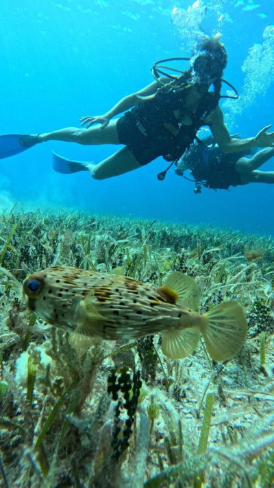 Chankanaab Cozumel, Mexico в феврале — фото погоды (2026-02-20)