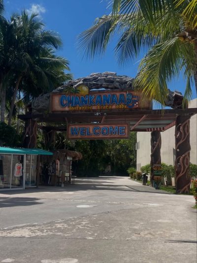 Chankanaab Cozumel, Mexico в апреле — фото погоды (2026-04-19)