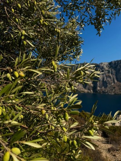 Içmeler Aşıklar Tepesi в августе — фото погоды (2025-08-31)