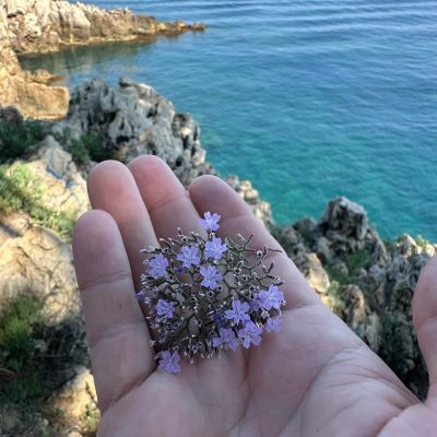 Sentier Du Littoral Cap D Antibes в мае — фото погоды (2026-05-25)