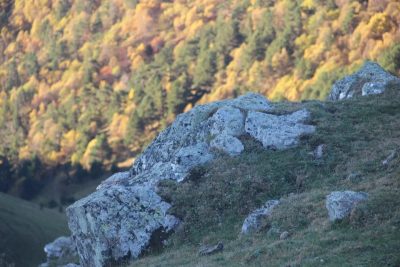 гора Пастухова (2733 м) в ноябре — фото погоды (2024-11-15)