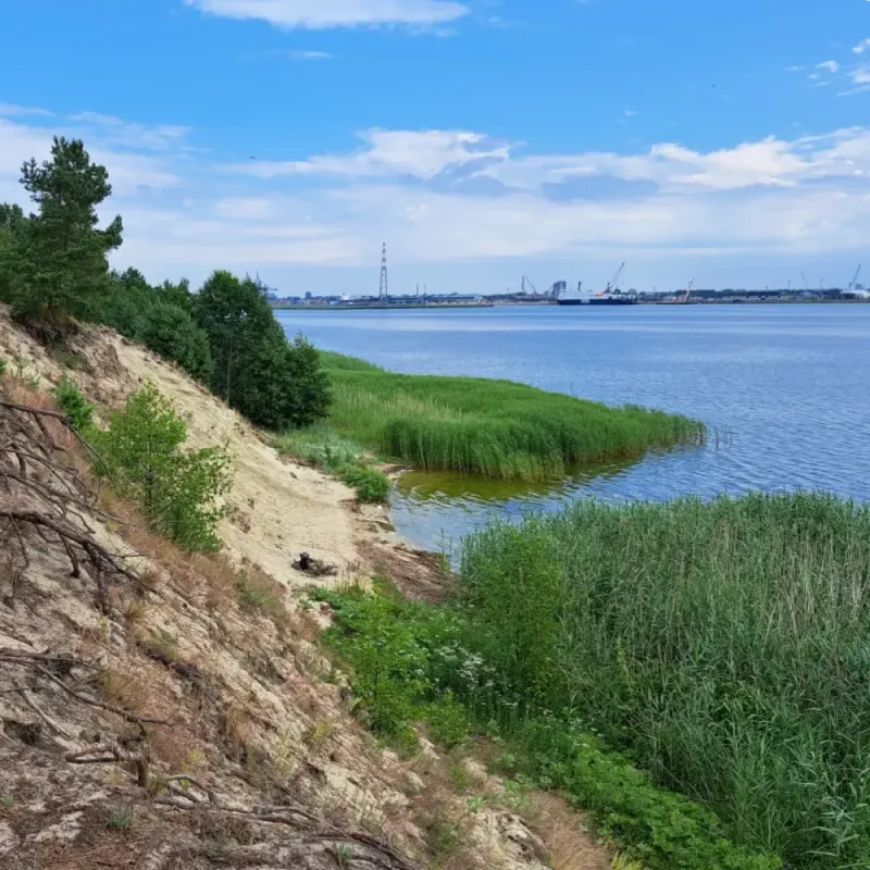 Погода в Высота Эфа