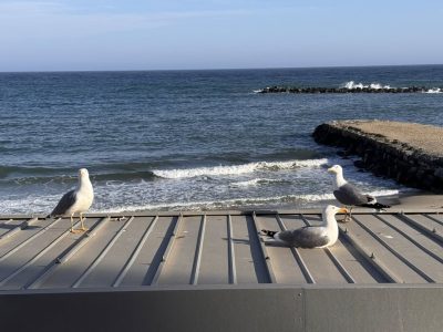 The Beach, San Remo в марте — фото погоды (2026-03-25)
