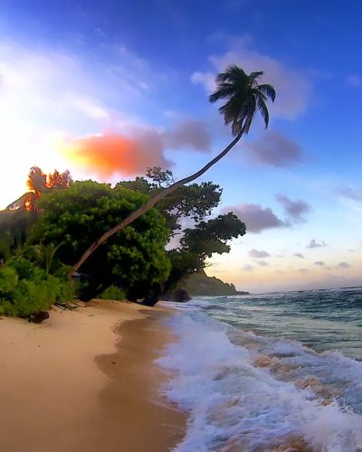 Anse Forbans, Seychelles, East Africa в июле — фото погоды (2024-07-02)
