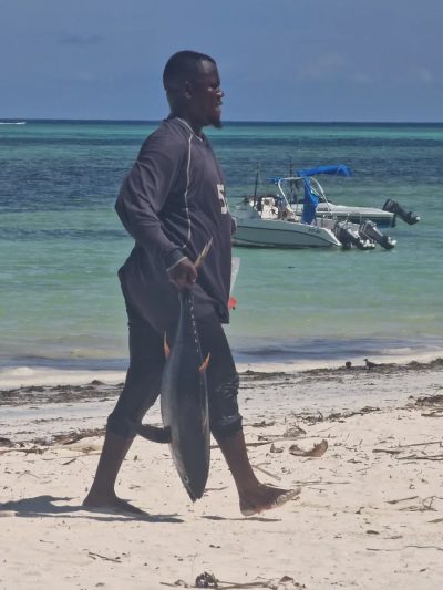 Pwani Mchangani - Zanzibar в январе — фото погоды (2026-01-24)