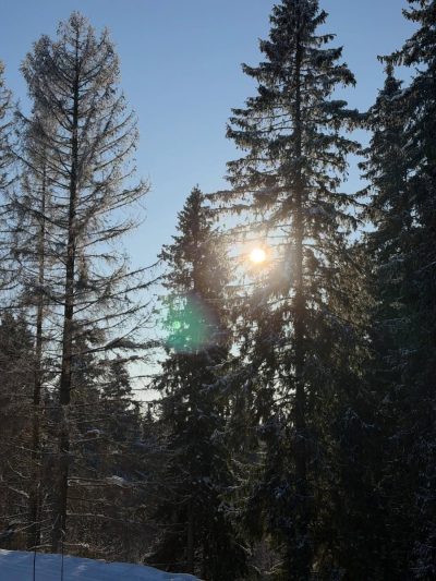 Петрозаводск в феврале — фото погоды (2026-02-14)