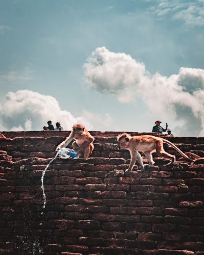 Sigiriya Rock в июне — фото погоды (2026-06-19)