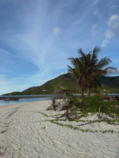 Malibu Beach, Koh Pangan в мае — фото погоды (2026-05-28)