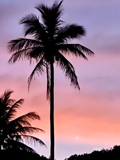 Malibu Beach, Koh Pangan в июне — фото погоды (2026-06-17)