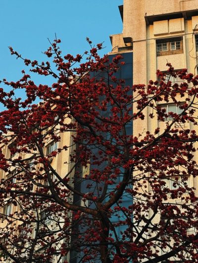 Sun Yat-sen University - SYSU 中山大学 в мае — фото погоды (2026-05-17)