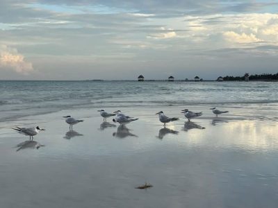 Cayo Guillermo, Cuba в декабре — фото погоды (2025-12-27)