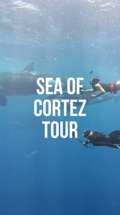 Sea of Cortez в январе — фото погоды (2026-01-22)