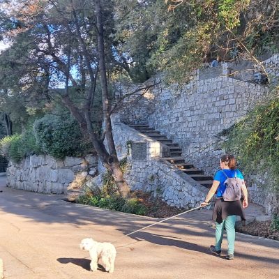 Castle Hill Nice Cote d'Azur, France в декабре — фото погоды (2025-12-26)