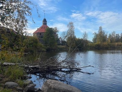 Крепость Корела, Приозерск в ноябре — фото погоды (2025-11-29)