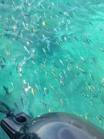 Long Beach Redang Island в апреле — фото погоды (2026-04-26)