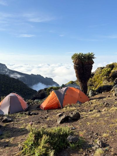 Karanga camp, mount Kilimanjaro в марте — фото погоды (2026-03-06)